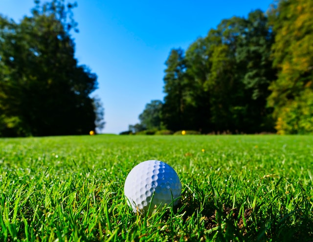 golf ball in golf grass field